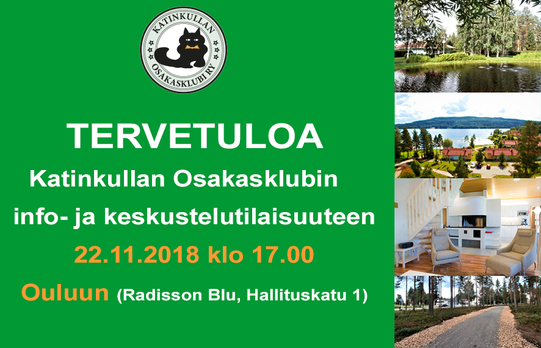 Katinkullan info- ja keskustelutilaisuus Oulussa 22.11.2018 klo 17 alkaen